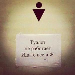 scale_1200 (17).jpeg