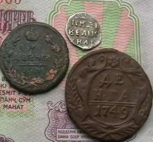 пернач 016.JPG