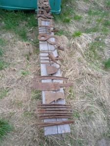 Находки за день 2.jpg