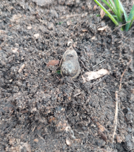 Скриншот 28-04-2023 121339.png