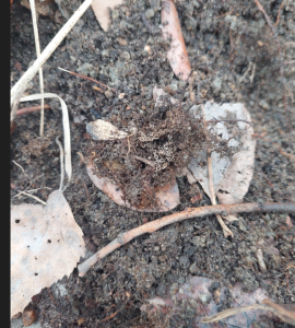 Скриншот 28-04-2023 121355.png