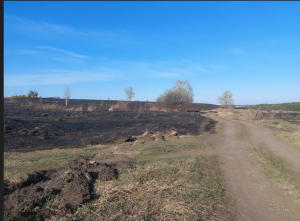 Скриншот 29-04-2023 215425.png