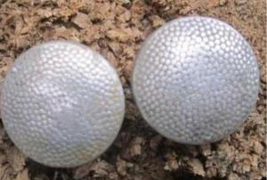 Screenshot_20230411_082618_Yandex Start.jpg