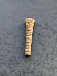 photo1681657999 (5).jpeg