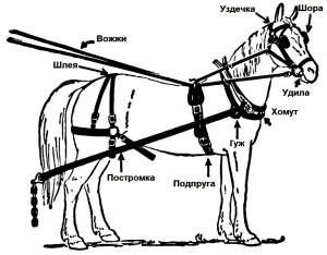 упряж.png