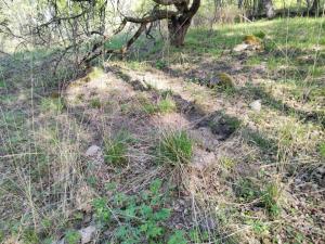 IMG_20230515_092513_новый размер.jpg