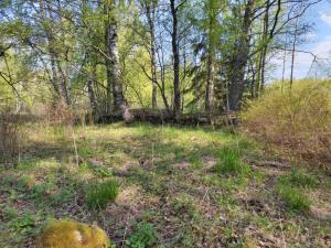 IMG_20230515_092522_новый размер.jpg