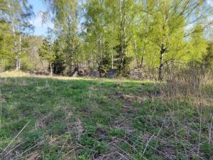 IMG_20230515_092553_новый размер.jpg