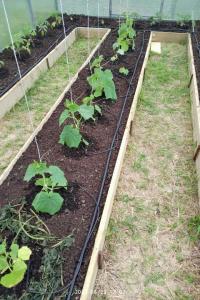 IMG_20230522_170714_HDR (1).jpg