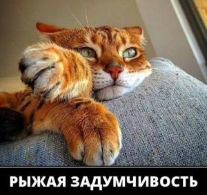 Screenshot_20230514_173302_Yandex Start.jpg