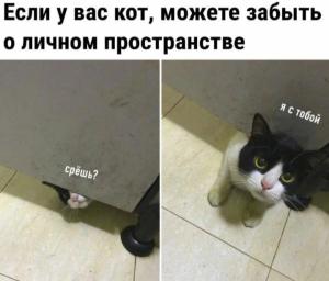 Screenshot_20230514_174231_Yandex Start.jpg