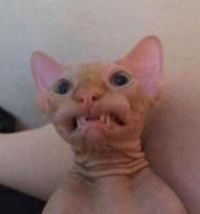 Screenshot_20230514_194239_Yandex Start.jpg