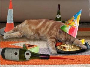 Screenshot_20230516_150824_Yandex Start.jpg