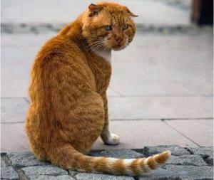 Screenshot_20230518_195436_Yandex Start.jpg