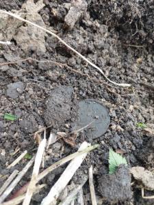 Изображение WhatsApp 2023-05-21 в 17.01.26.jpg