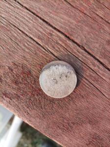 WhatsApp Image 2023-05-02 at 17.31.48.jpeg