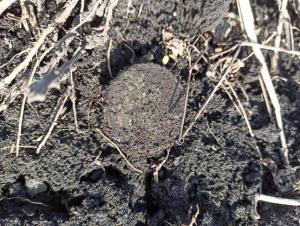 WhatsApp Image 2023-05-06 at 13.44.12.jpeg