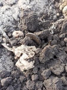 WhatsApp Image 2023-05-06 at 13.47.08.jpeg