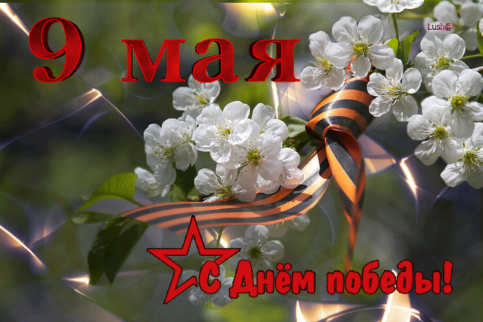 pozdravleniya-s-9-maya-animatsionnye-otkrytki-i-stihi-s-prazdnikom-velikoj-pobedy.thumb.gif.30019a746151909855b9fe3e39a9ddc3.gif