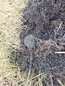 Изображение WhatsApp 2023-06-25 в 19.02.43.jpg