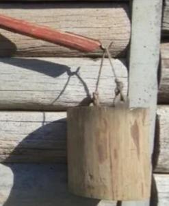 Screenshot_20230729_192538_Yandex Start.jpg