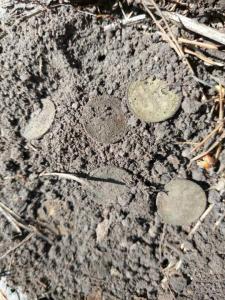 Изображение WhatsApp 2023-07-01 в 12.29.35.jpg