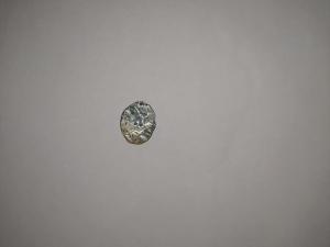 Чешуйка рисунок.jpg