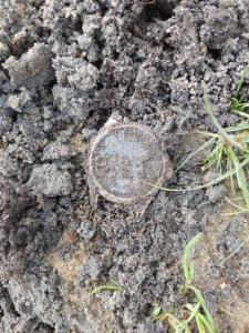 Изображение WhatsApp 2023-08-27 в 13.13.01.jpg