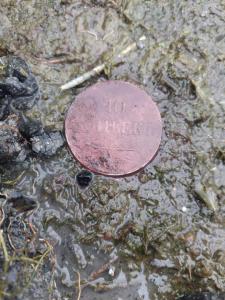 Изображение WhatsApp 2023-08-29 в 10.15.14.jpg