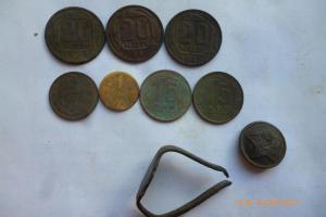 P1100061 (Large).JPG