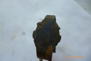 P1100062 (Large).JPG