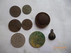 P1100069 (Medium).JPG