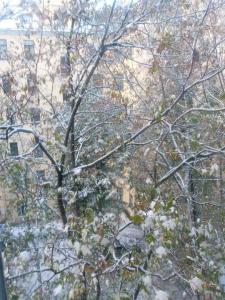 IMG_20231028_101411_508 (2).jpg