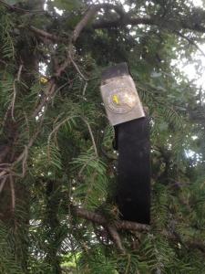 IMG_4510 — копия.JPG