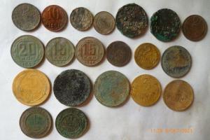 P1100094 (Large).JPG