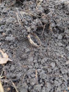 Изображение WhatsApp 2023-10-22 в 10.52.14_0e194c04.jpg