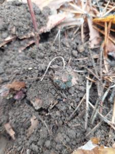 Изображение WhatsApp 2023-10-22 в 10.59.02_df53b0ac.jpg