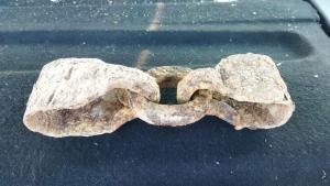 WhatsApp Image 2023-10-17 at 21.01.19.jpeg