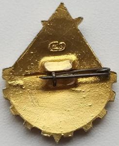 Значок Юный техник СССР (2).jpg