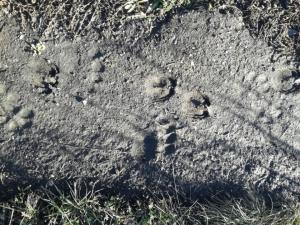 IMG_20231104_134524 (Medium).jpg