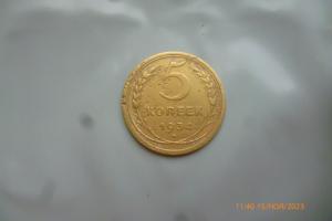 P1100138 (Medium).JPG