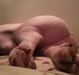 Screenshot_20231130_153522_Yandex Start.jpg