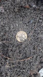 Изображение WhatsApp 2023-11-16 в 10.16.00_9ee4f25e.jpg