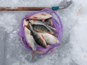 Изображение WhatsApp 2023-11-23 в 14.49.19_c2f971f2.jpg