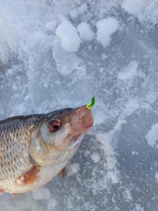 Изображение WhatsApp 2023-11-27 в 14.01.12_72acd684.jpg