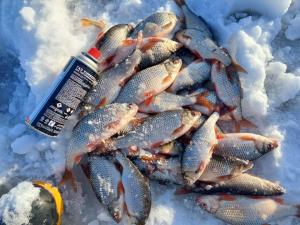 Изображение WhatsApp 2023-11-27 в 14.01.12_82bab138.jpg