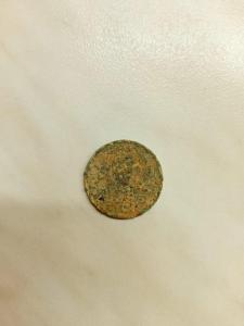 WhatsApp Image 2023-11-13 at 10.05.49.jpeg