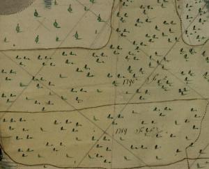 участки 2.jpg