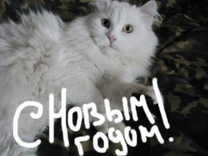 31.12.23 (5) - копия.JPG