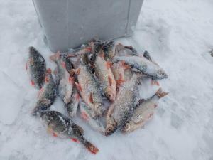 Изображение WhatsApp 2023-12-20 в 14.03.41_116be74b.jpg